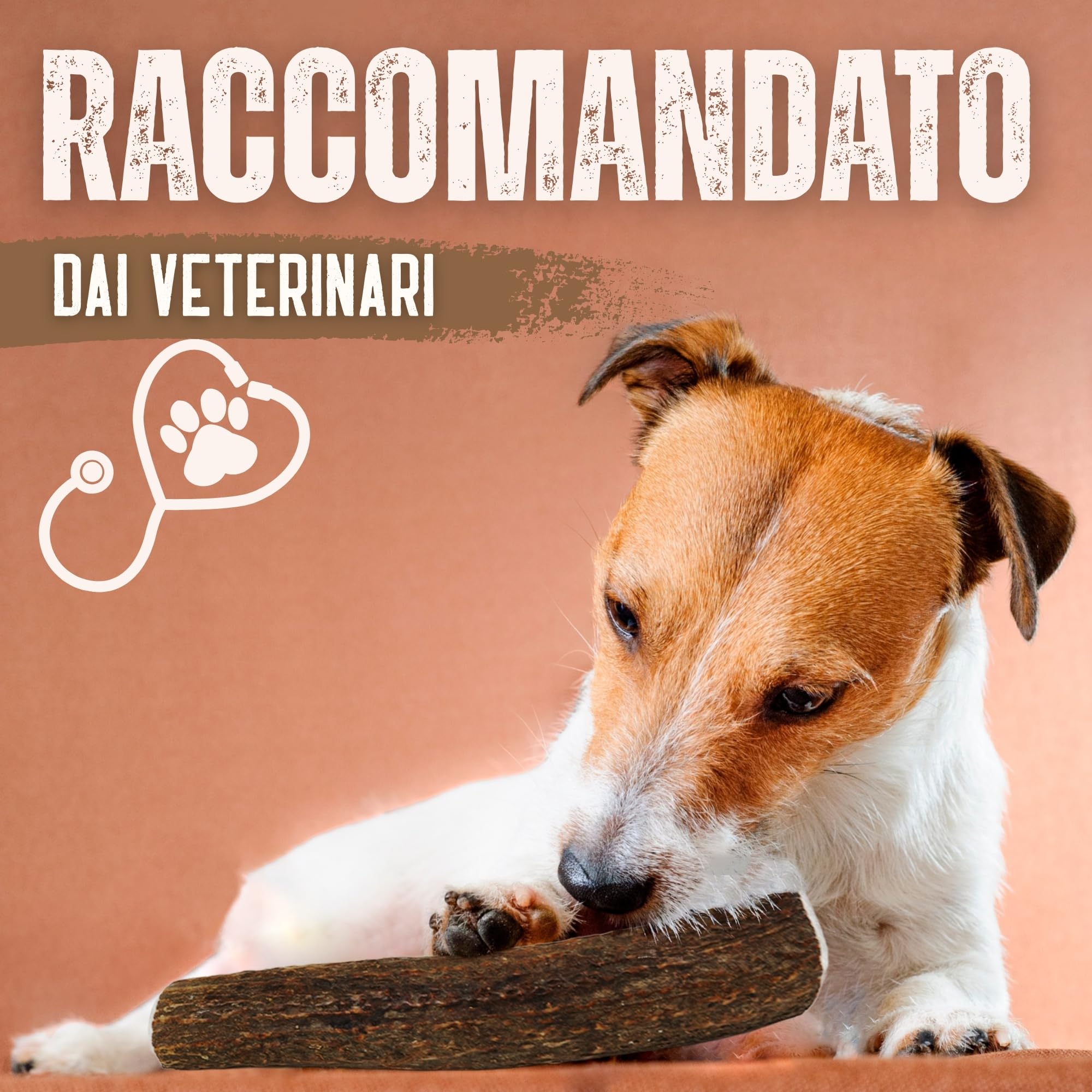 Corno di Cervo Naturale per Cani | Masticatore Dentale Duraturo | Origine Naturale, Senza Additivi | Kira&Gara® (M - 71-100g, Pack de 2)