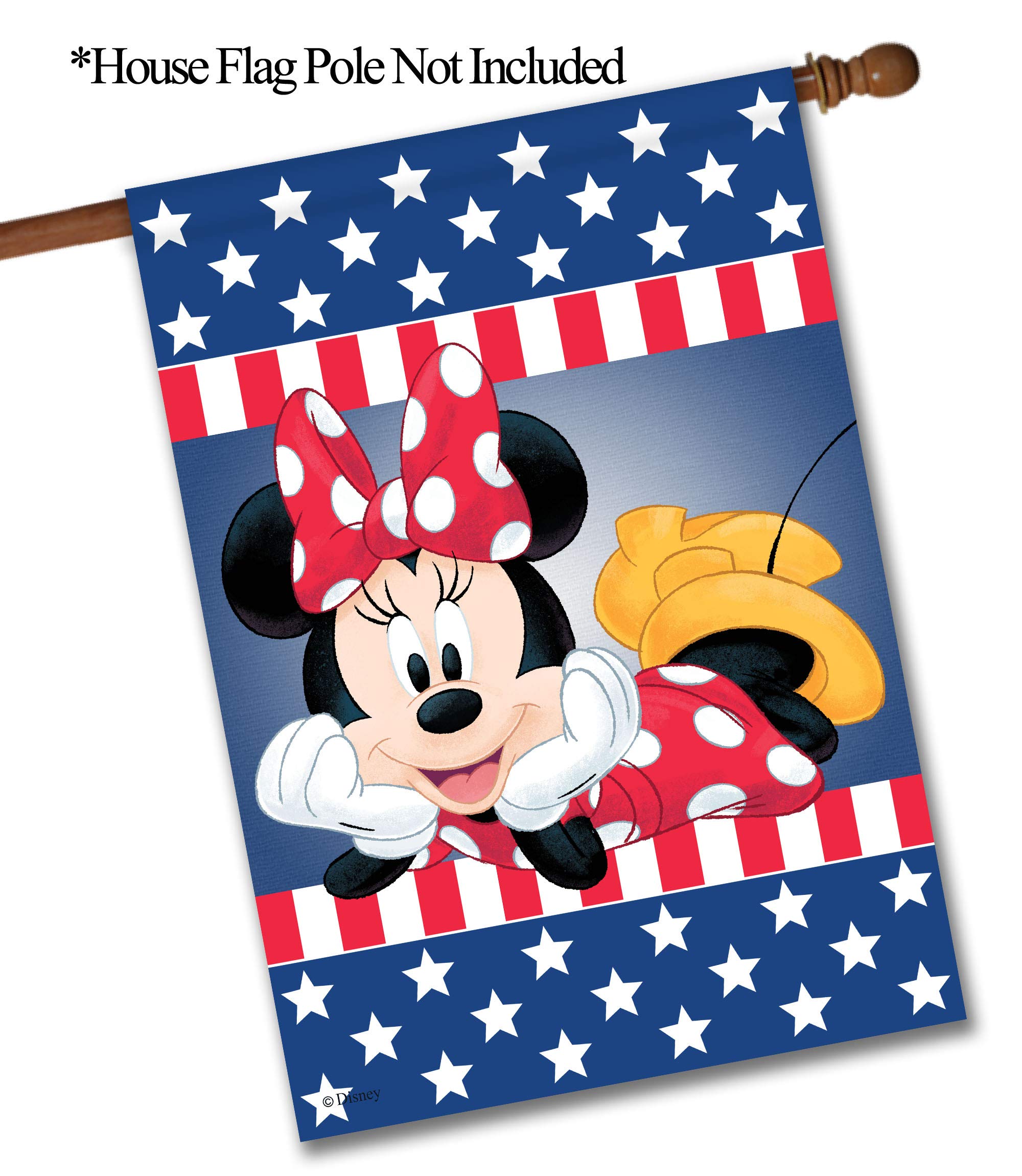Amazon.com : Flagology.com, Disney, Minnie Mouse, Patriotic Minnie
