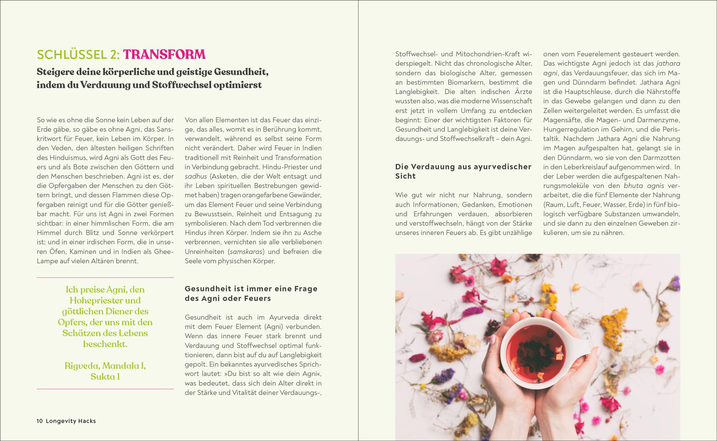 Dein Ayurveda: Das Praxisbuch für ein Leben in Balance