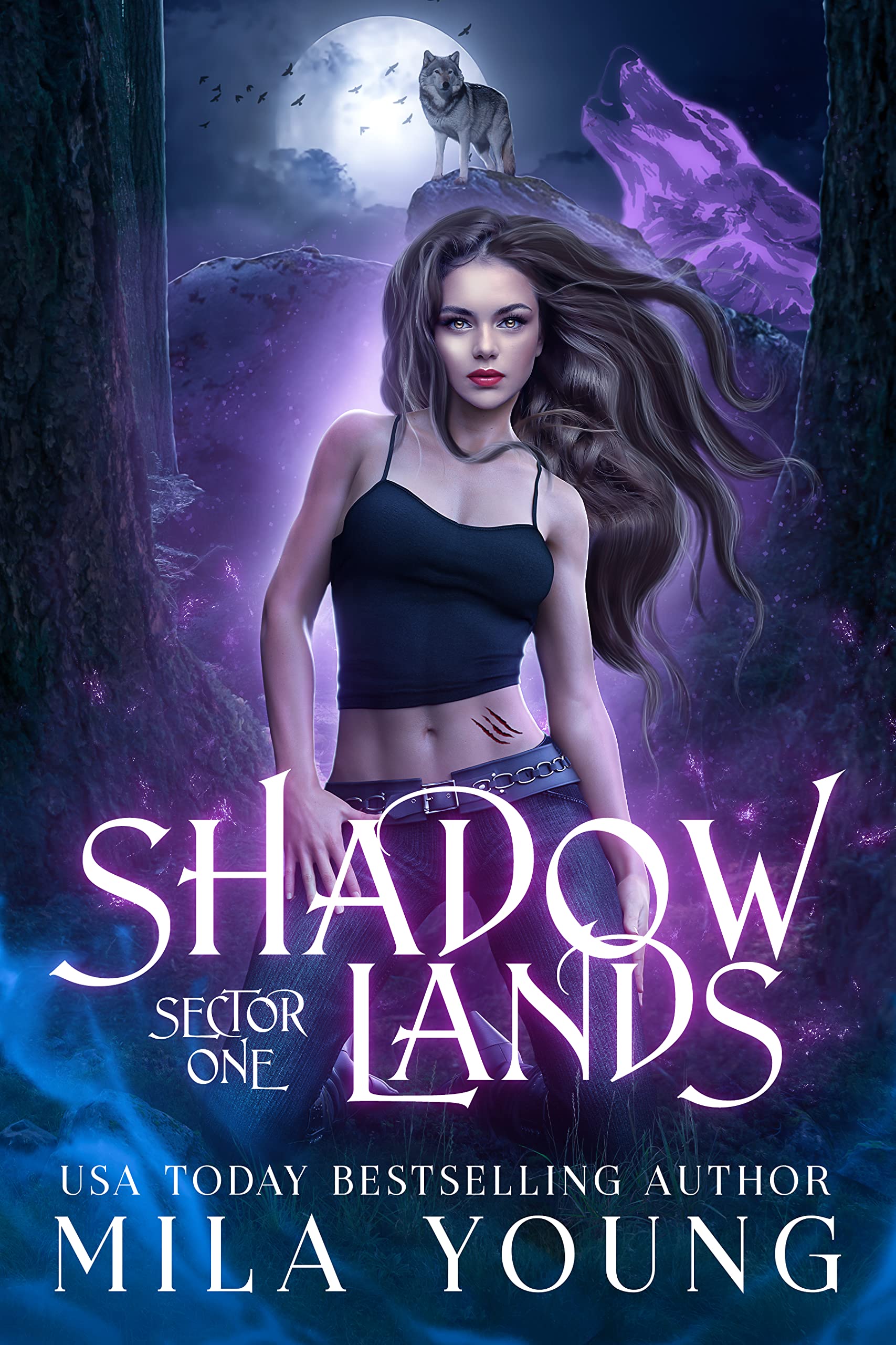 Shadowlands Sector, One