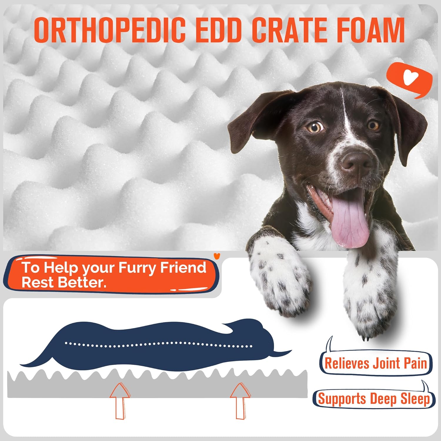 Ultimate Comfort: Review of the Simple Trending Orthopedic Dog Bed for Large Dogs
