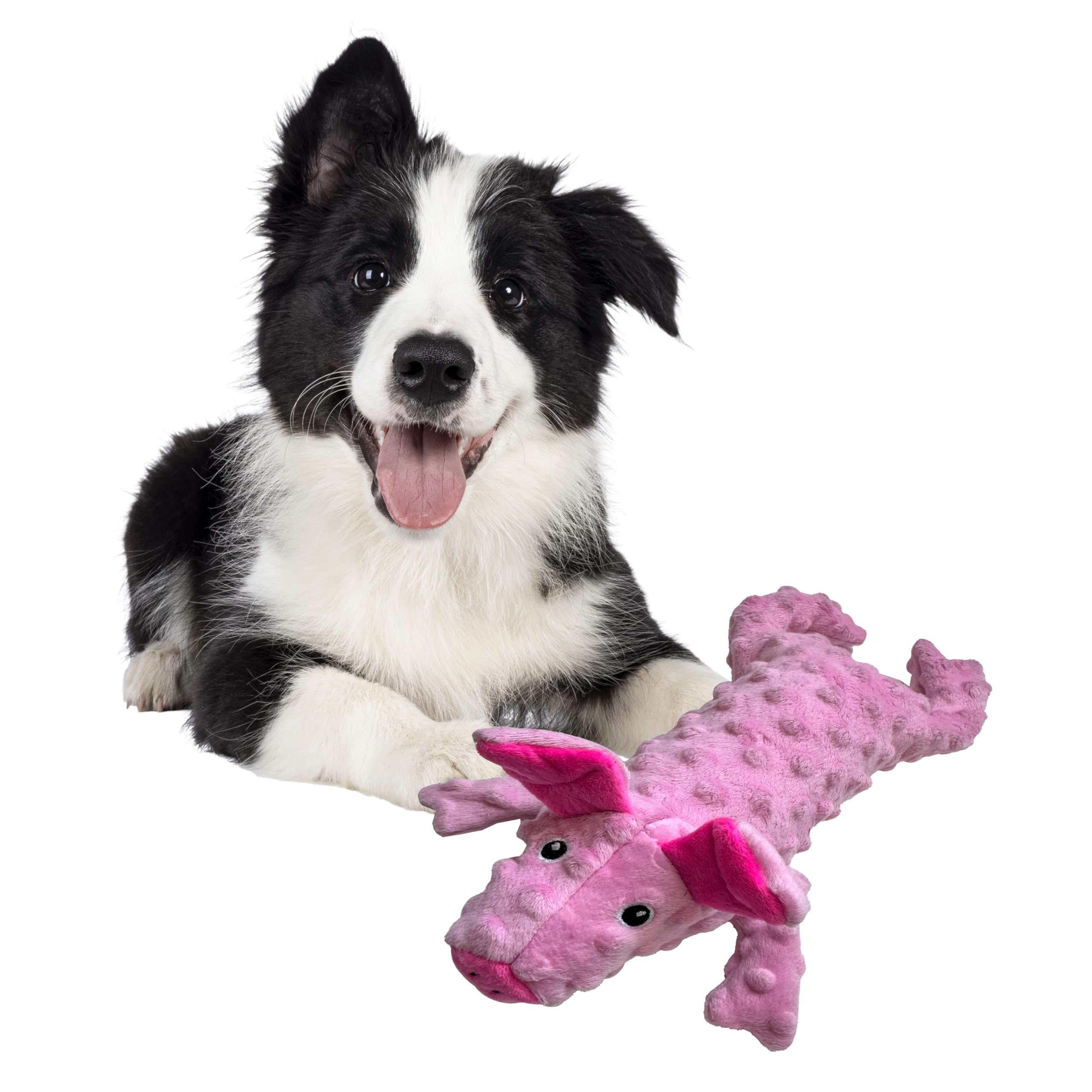 Pet Supplies : SPOT Skinneeez Extreme Stuffers Pig