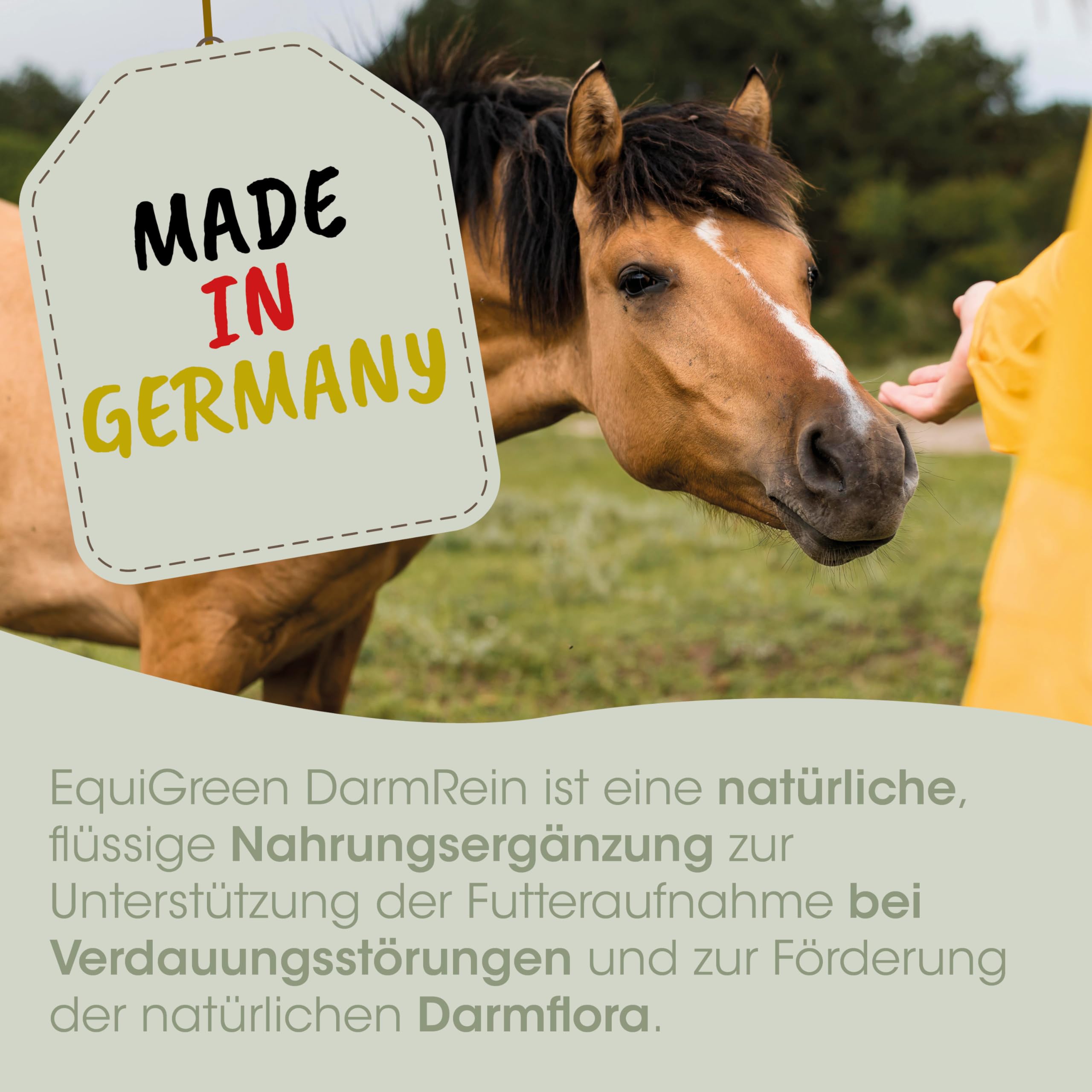 EquiGreen DarmRein 250ml - Natürliches Pferdefutter zur Unterstützung der Darmflora und Verdauung