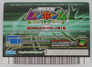 タランドゥスツヤクワガタ フォレストグリーン　バラ売り用「右だけ」 タランドゥスツヤクワガタ フォレストグリーン バラ売り用「右