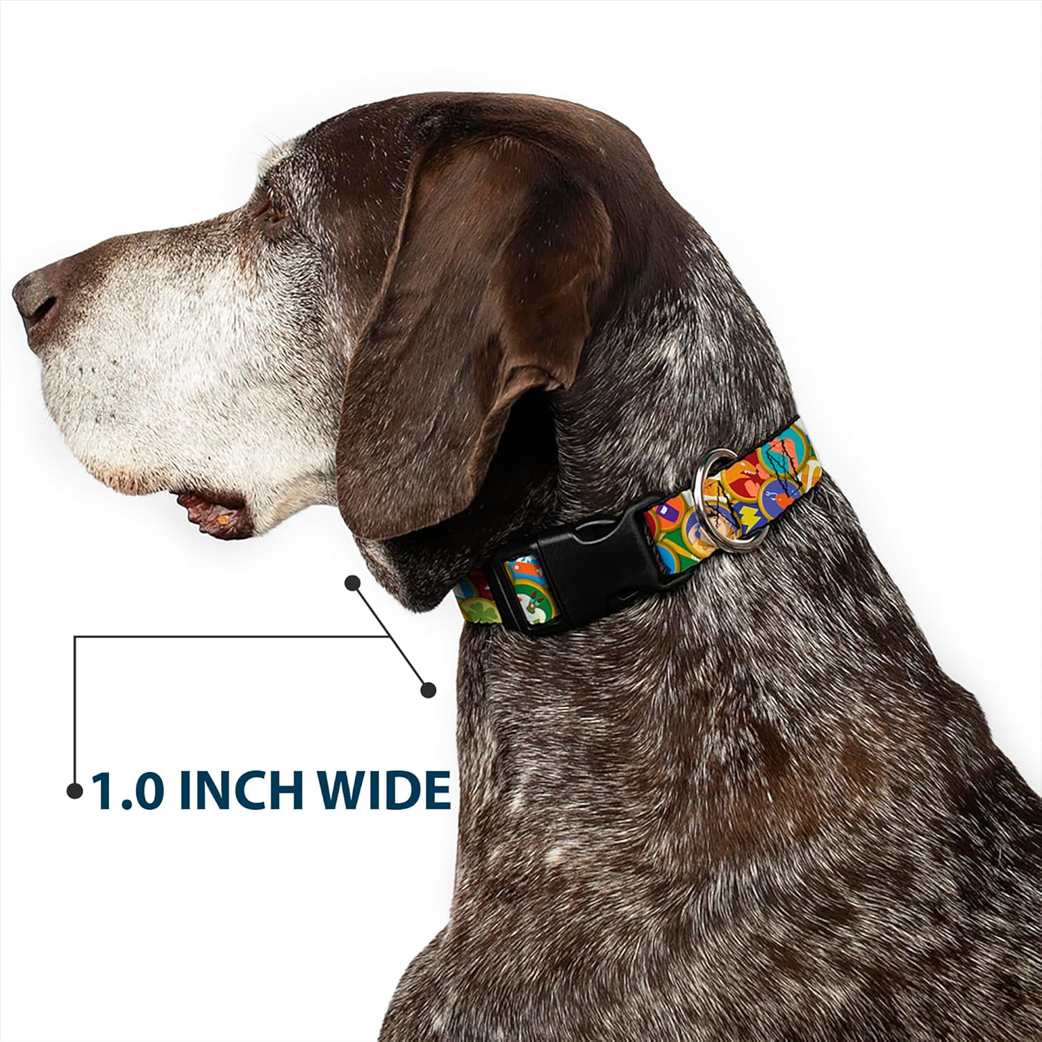 Buckle-Down Plastic Clip Collar - Stacked Wilderness Explorers Badges - 1.5" Wide - Fits 13-18" Neck - Small