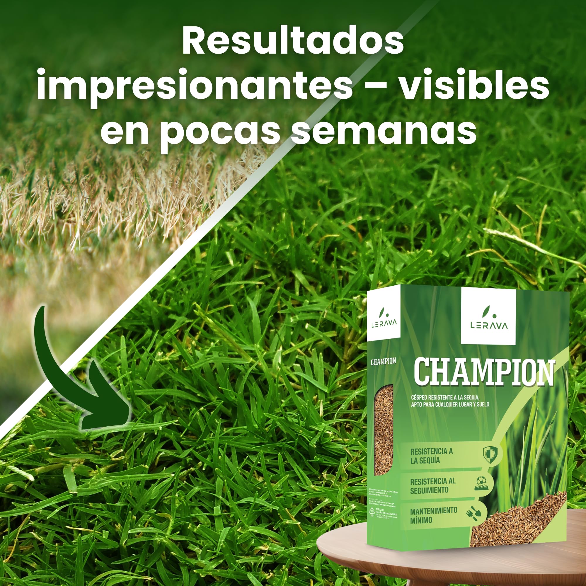 LERAVA® CHAMPION semillas cesped resistente - 10m² - semillas de cesped resistente a la sequía - transitable - cesped de bajo consumo de agua - adecuado para todos los lugares y tipos de suelo