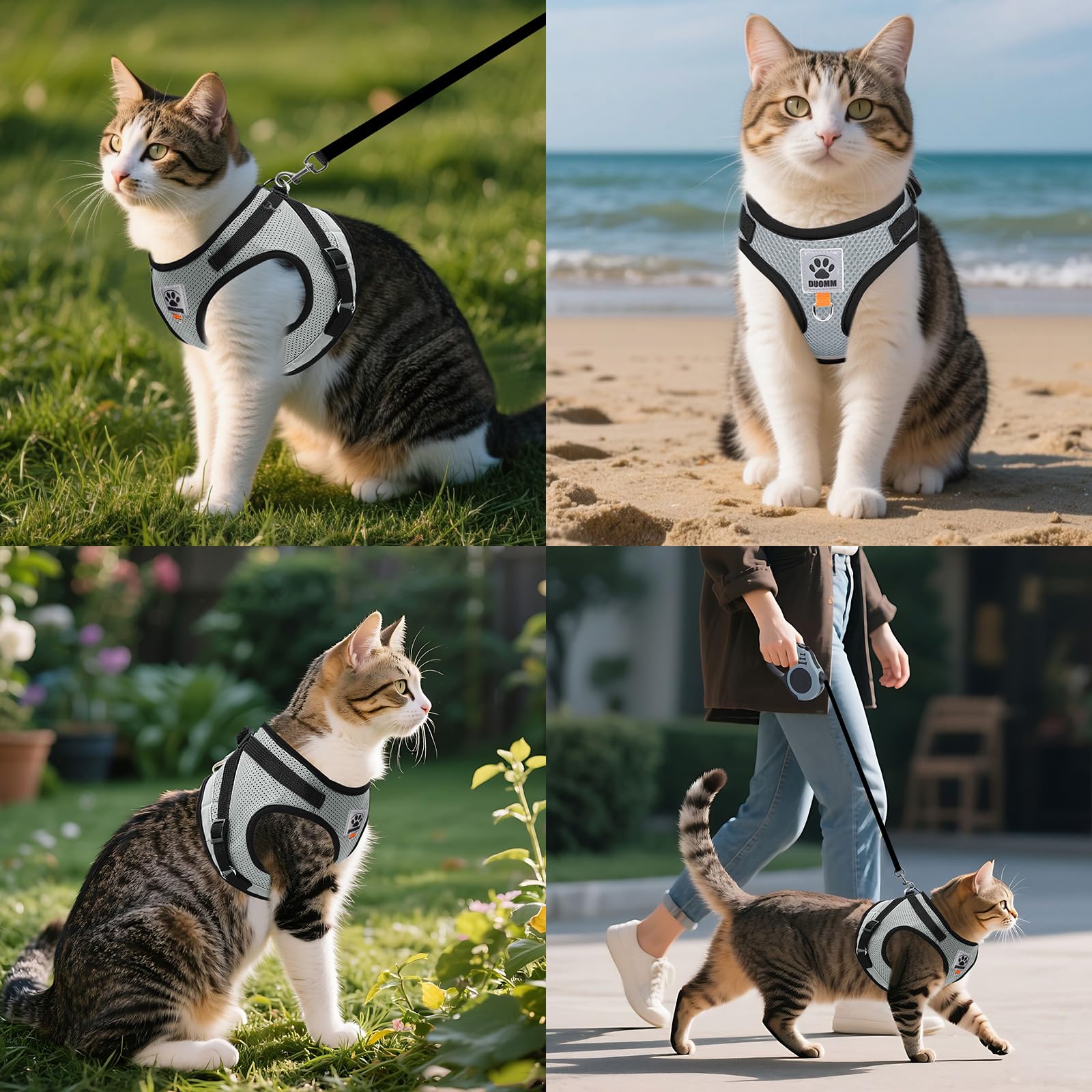 Aedcbaide Cat Harness And Lead Set Escape Proof Uk Automatic