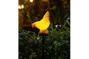 Chicken Coop Coop Ornament: Delightful Solar-Powered Yard Art