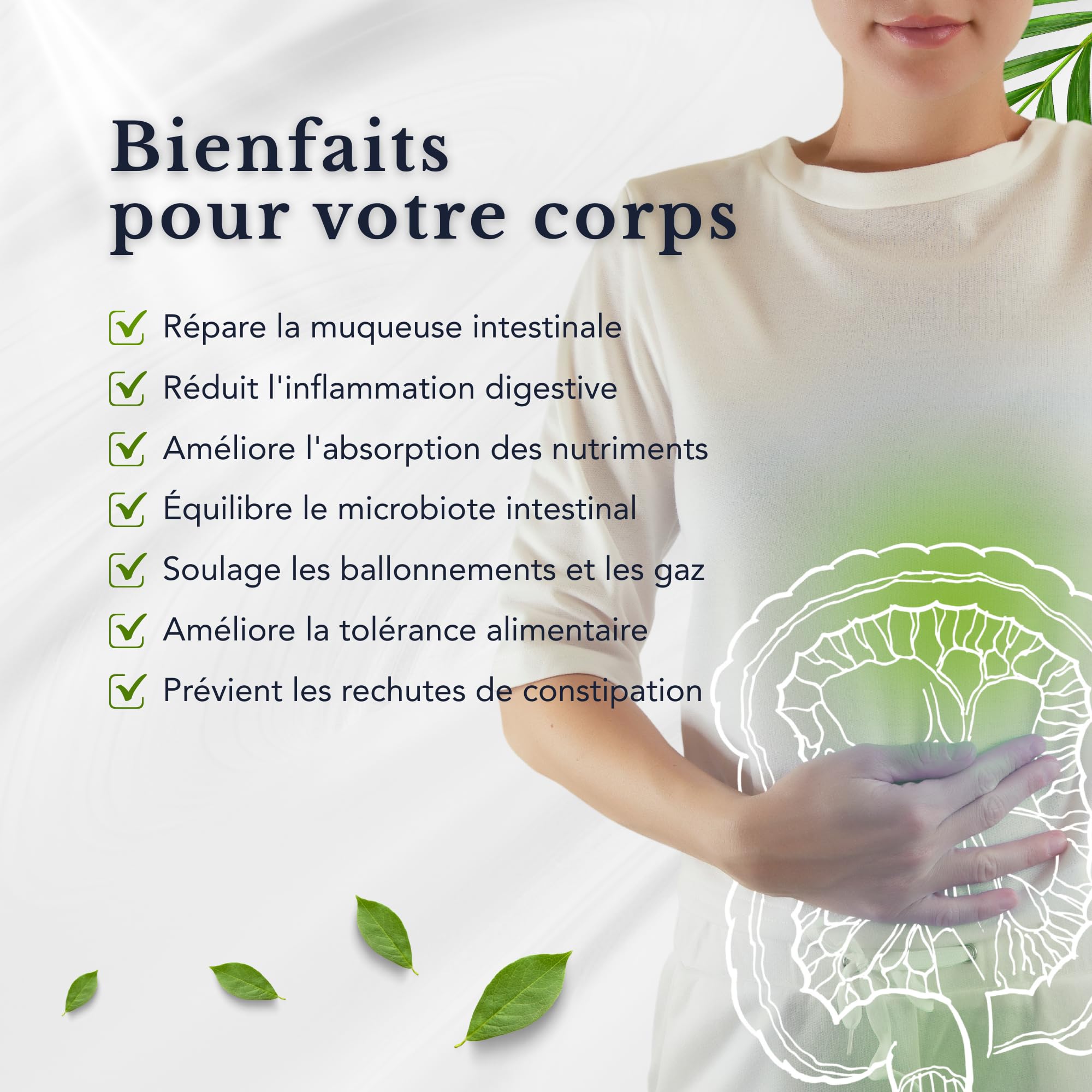 Gestion de la barrière intestinale – Trans-resvératrol, L-glutamine, berbérine, quercétine, oméga-3 – Puissante synergie de vitamines et de minéraux | 28 portions quotidiennes | 112 sachets | Sans OGM