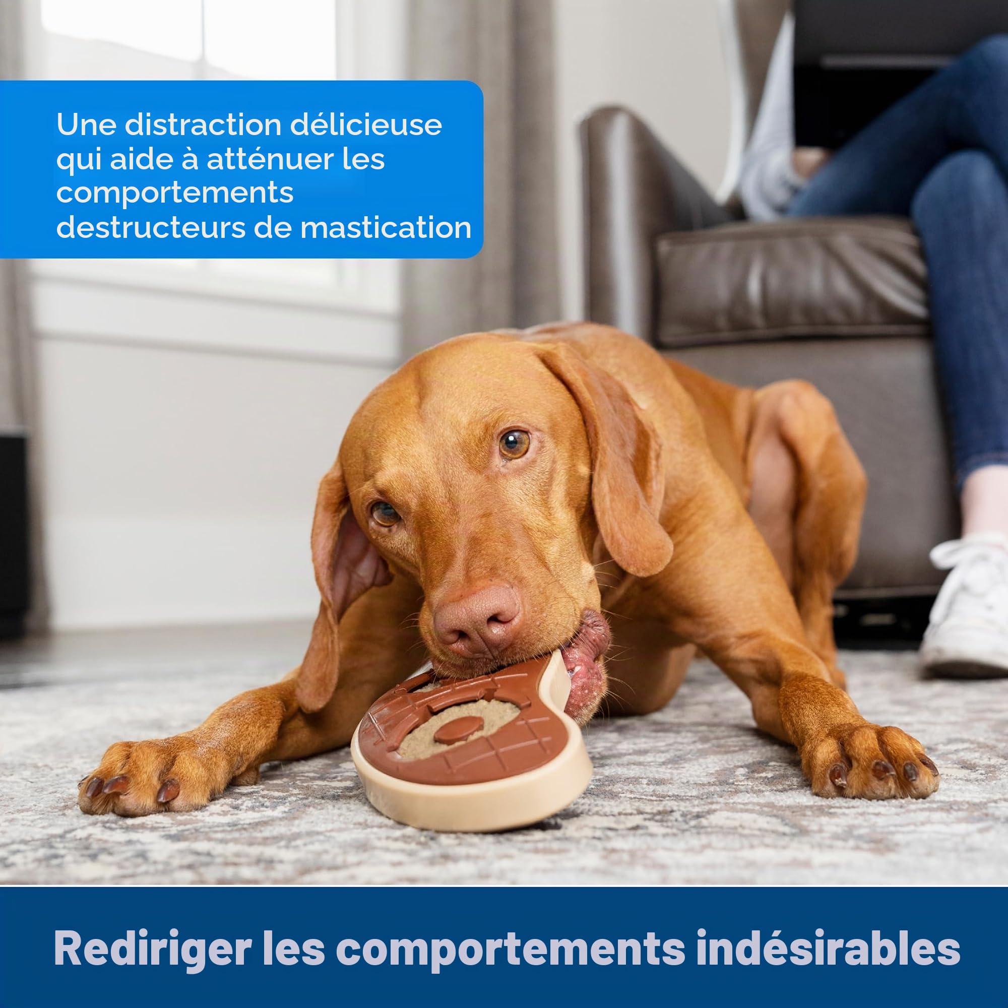 PetSafe Anneaux de Friandises en Peau de Bœuf pour Jouet Busy Buddy pour Chien, 16 Anneaux par Sachet, Taille B