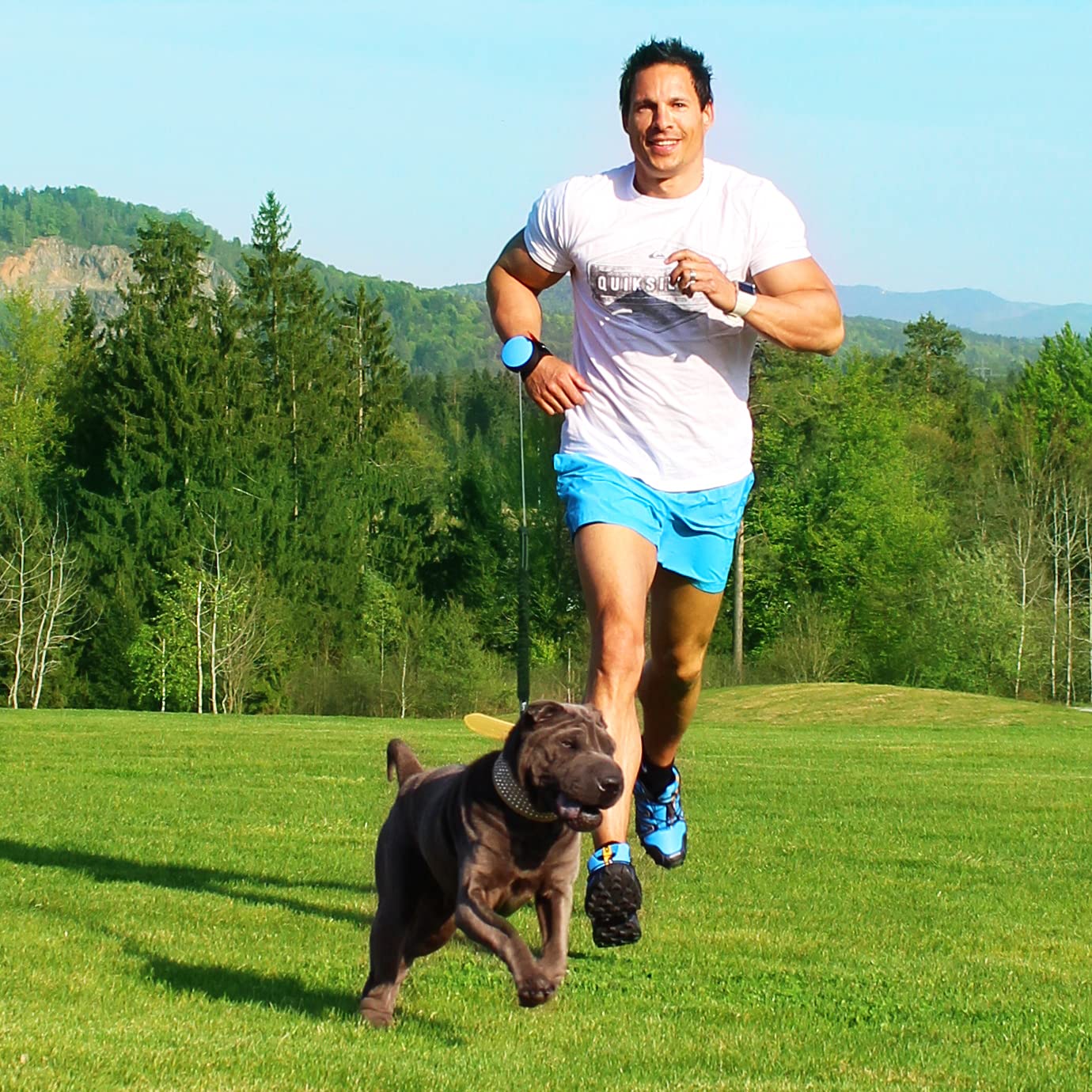 3 correas para perros con Full-Stop, negro, XS – 2-4 kg