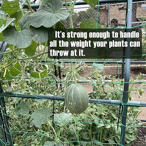 Miniatura 5 de HOECMRHP Red de enrejado, red de cultivo de jardín resistente para plantas trepadoras, red interior al aire libre para pepino, tomates, frijoles,