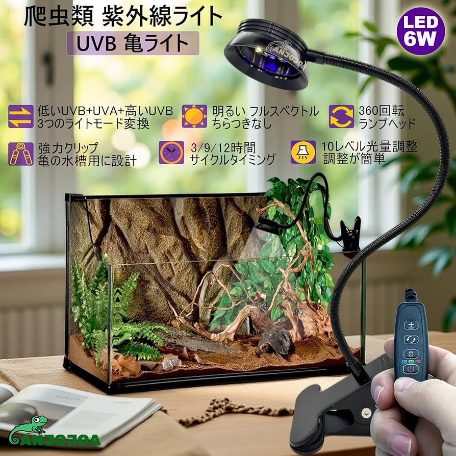 【30日保障有り＋整備済み】 キャノン J1VR2 カラー液晶 ワープロ ソララ電波セレナイト全方位型 SS-D791 | 商品情報 | 株式会社