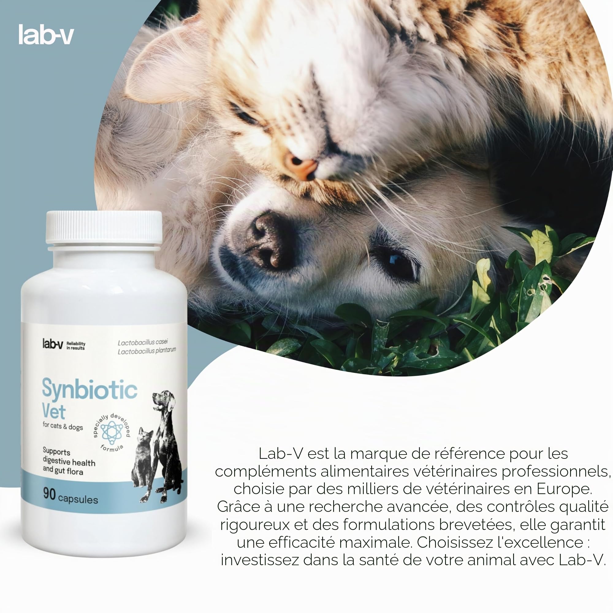 Lab-V Synbiotic Vet Probiotiques pour chiens et chats, 90 gélules probiotiques digestives pour chiens et chats avec prébiotiques, suppléments pour chien et chat, ferments lactiques, intestin santé