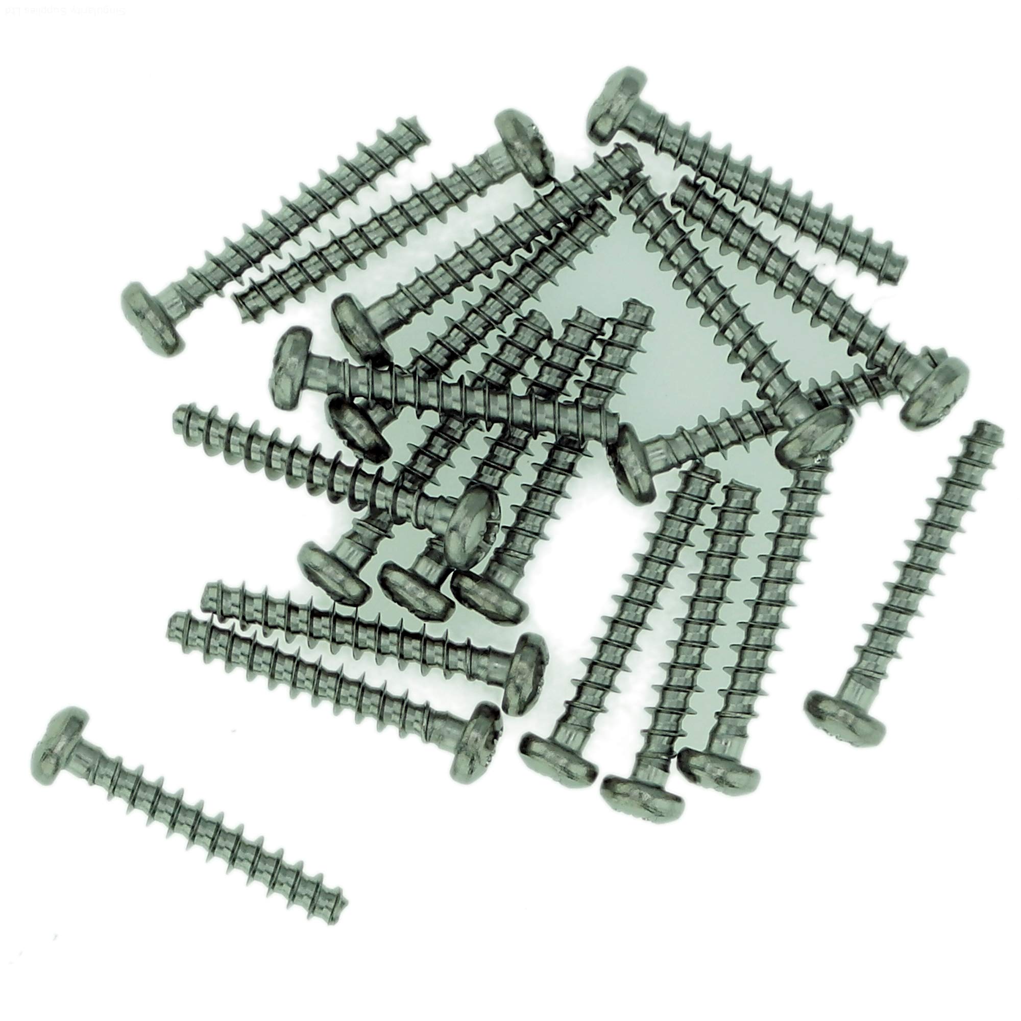 Singularity Supplies D3 (3Mm X 10Mm) Pozi Pan Screws For Plastic - Stainless Steel (A2) (Pack Of 20)
