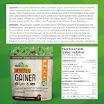 Poudre de protéine gainer de l'athlète, saveur chocolat naturel, 2,5 kg | Végane et non-OGM (L'emballage peut varier)