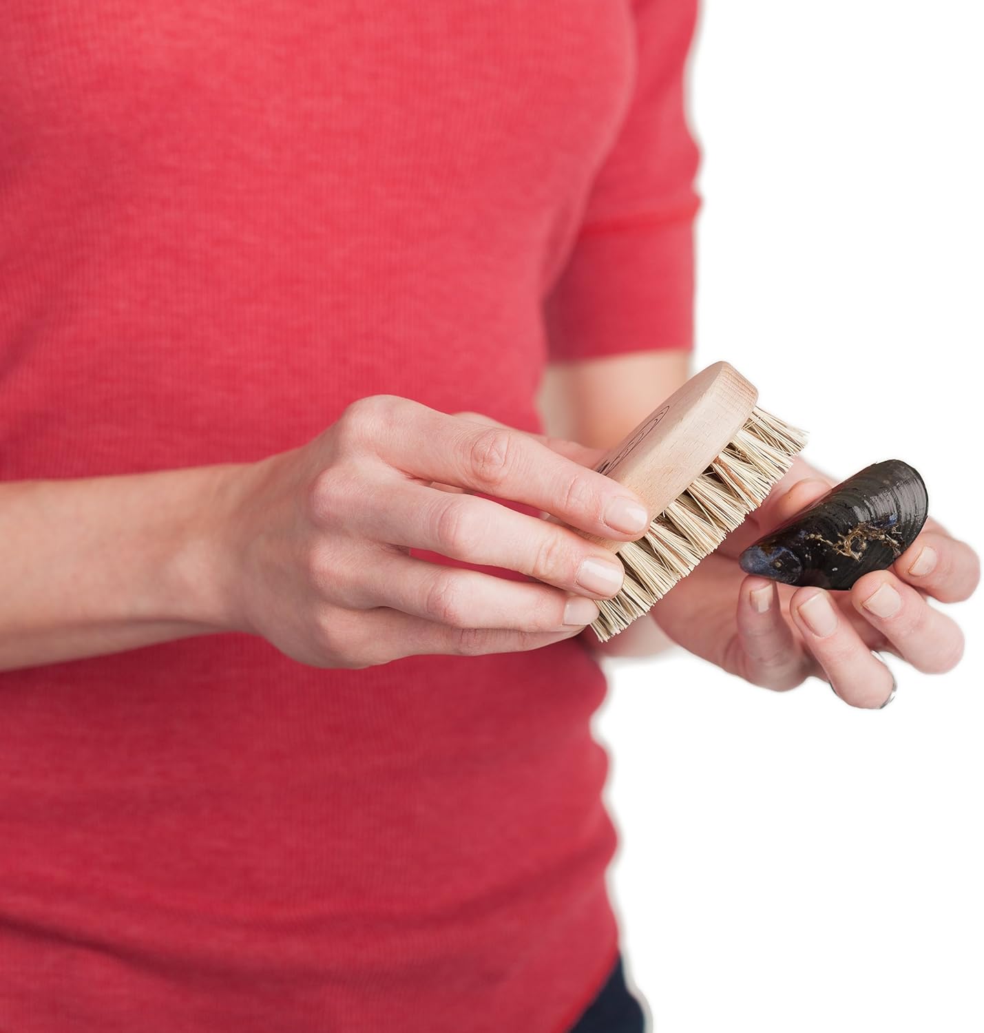 REDECKER Mussel Brush with Beechwood Handle, 3-3/4-Inches, Set of 2 - Brush for Scrubbing Mussels