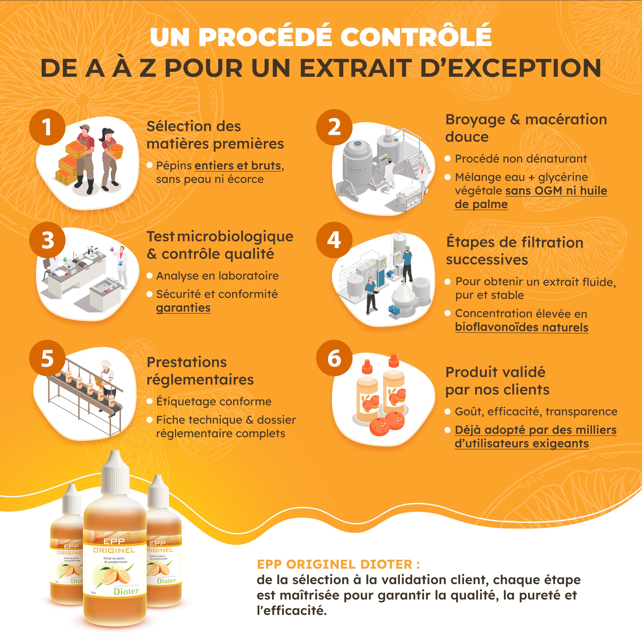 Extrait de Pépins de Pamplemousse Pur 100 ml | Complément Naturel Sans Alcool | Renforce les Défenses Immunitaires | Fabrication Française | Vitamine B9, Sans Conservateur – Laboratoire Dioter