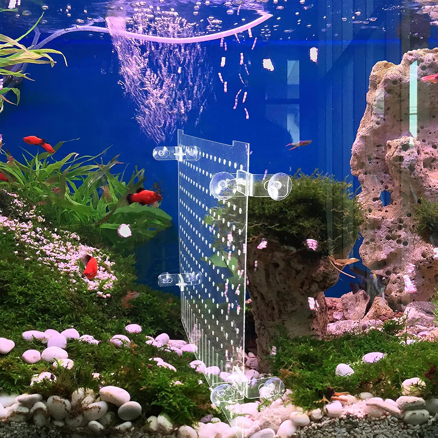 MERRYHAPY Acrylic Fish Tank Divider Board with Suction Cups 35x30cm Aquarium Isolation Partition for Fish Breeding and Separation