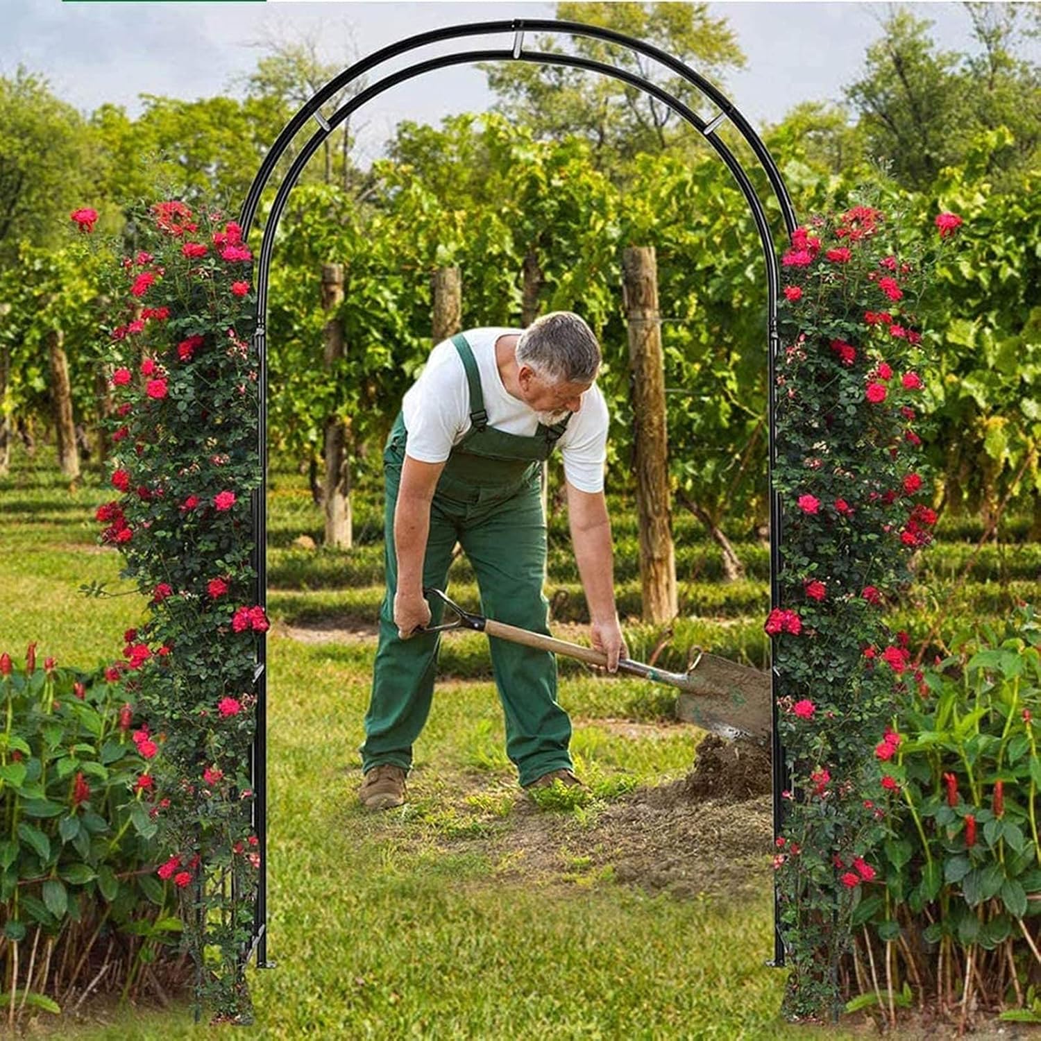 SOBS Decorative Metal Garden Arbor, Wedding Garden Arch Party Ceremony Decoration Wide Arbor, Climbing Plant Support Trellis Arch Arbor Trellis Pergola Arbor - Black, Green, White
