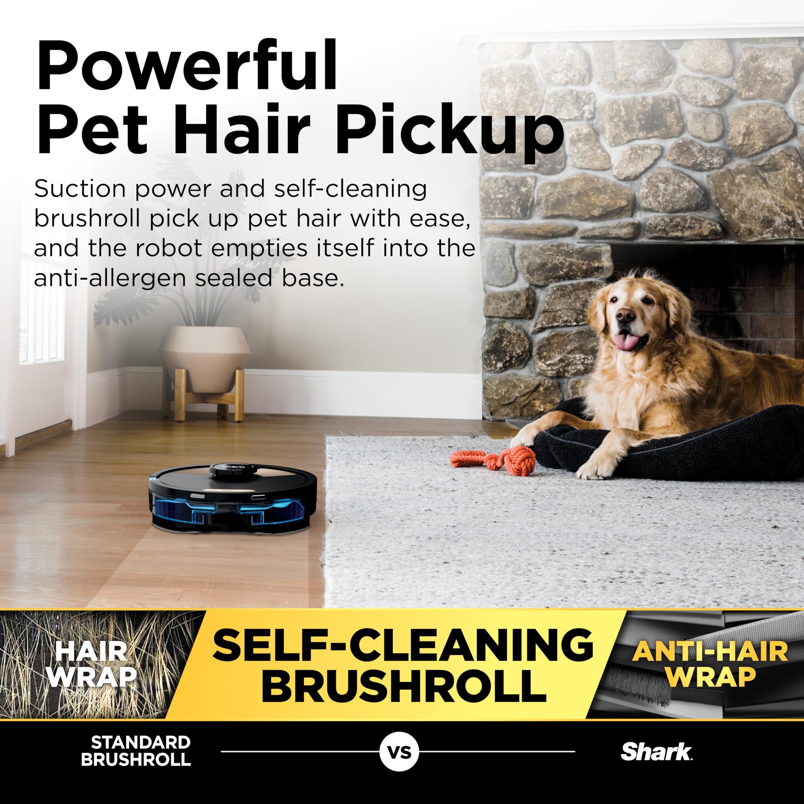 Setup, maintenance, and hygiene tips