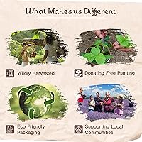 Vista 3 de Sagrada Madre 8 varillas de incienso gruesas de Palo Santo (copalo), 9 pulgadas de largo, ecológicas, no tóxicas, aromáticas