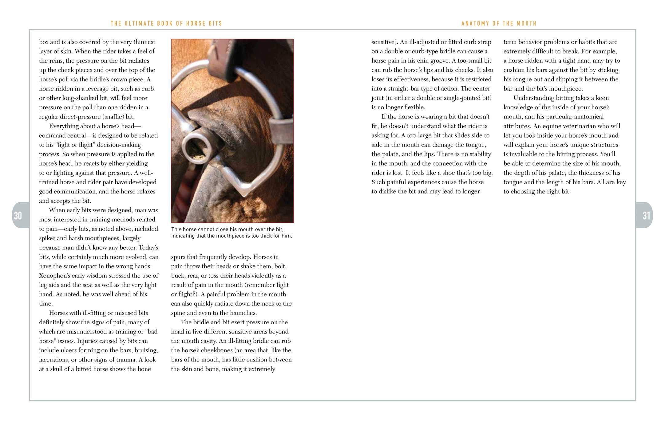 The Ultimate Book of Horse Bits: What They Are, What They Do, and How They Work (2nd Edition)