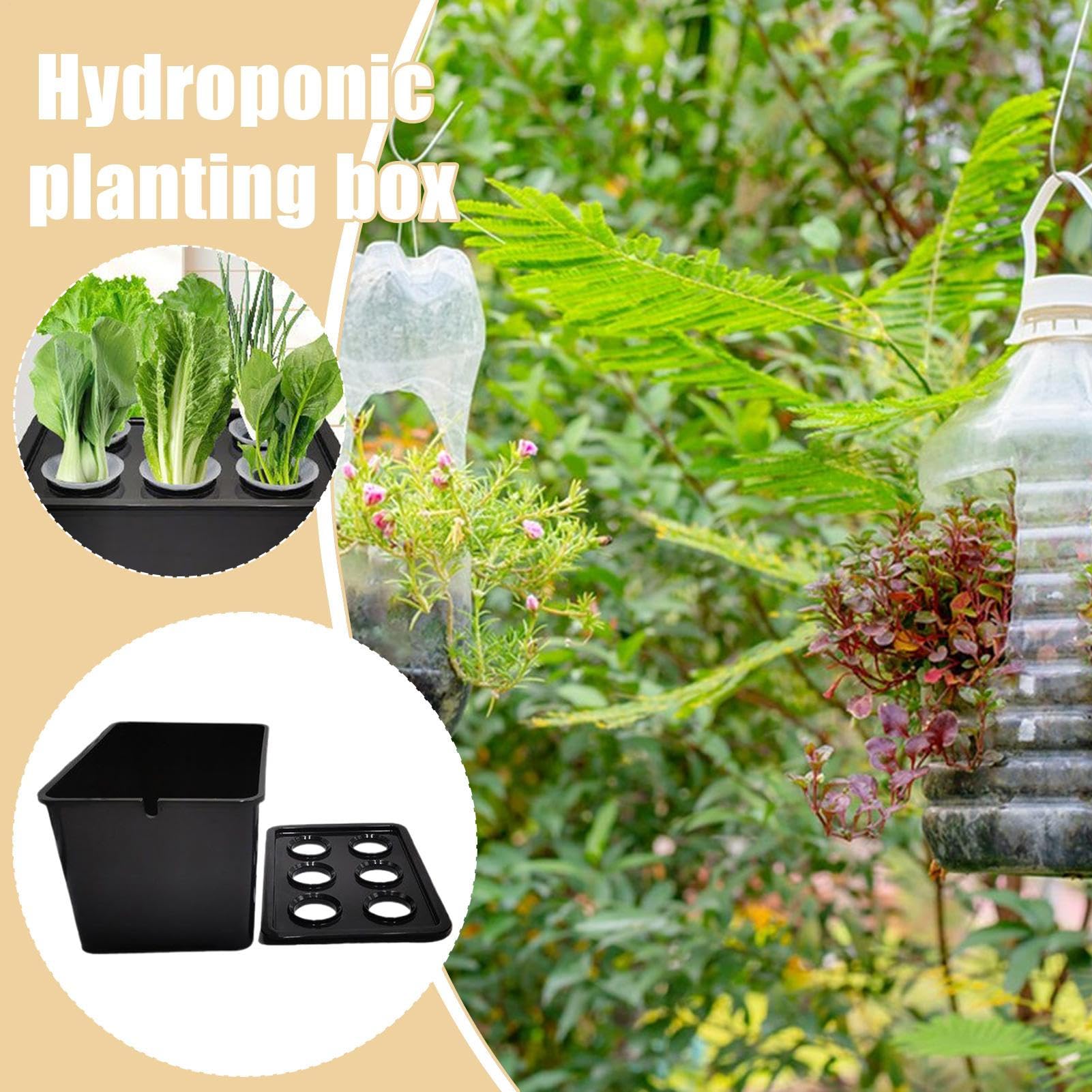 Hydroponics Growing System Kit6-Holes Germination SystemSoilless Cultivation Box | for Vegetables Flowers Fruits Indoor Outdoor Garden Greenhouse Farm Backyard Windowsill Balcony product thumbnail 3