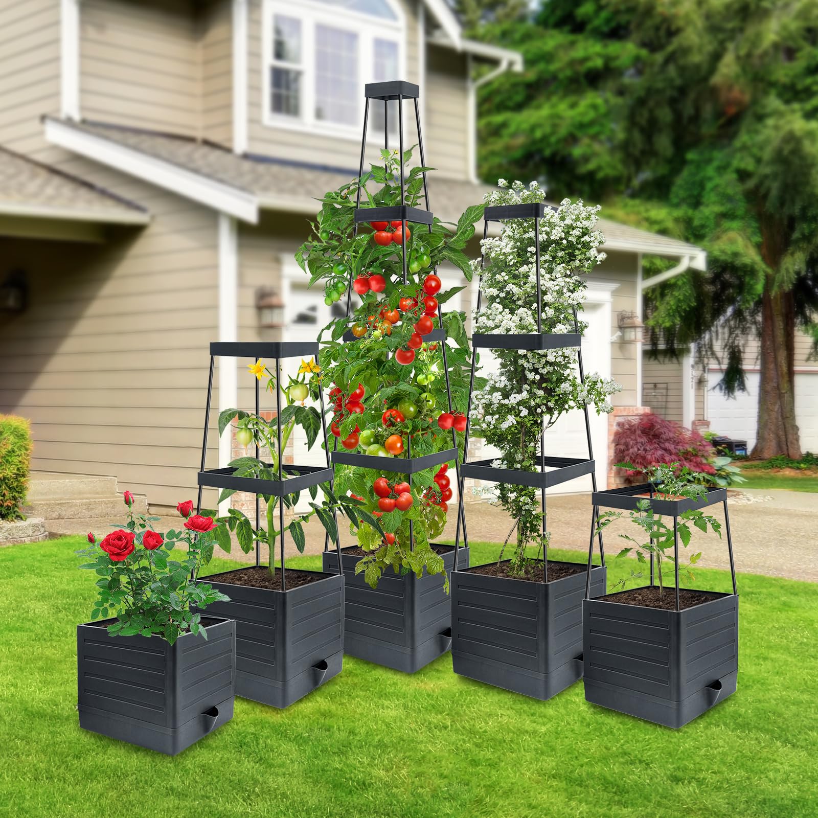 MQUPIN 2 pezzi Fioriera rialzata da giardino con traliccio,145cm fioriera a gabbia per pomodori, aiuolarialzata con traliccio, per rampicanti, verdure piante, auto-irrigante