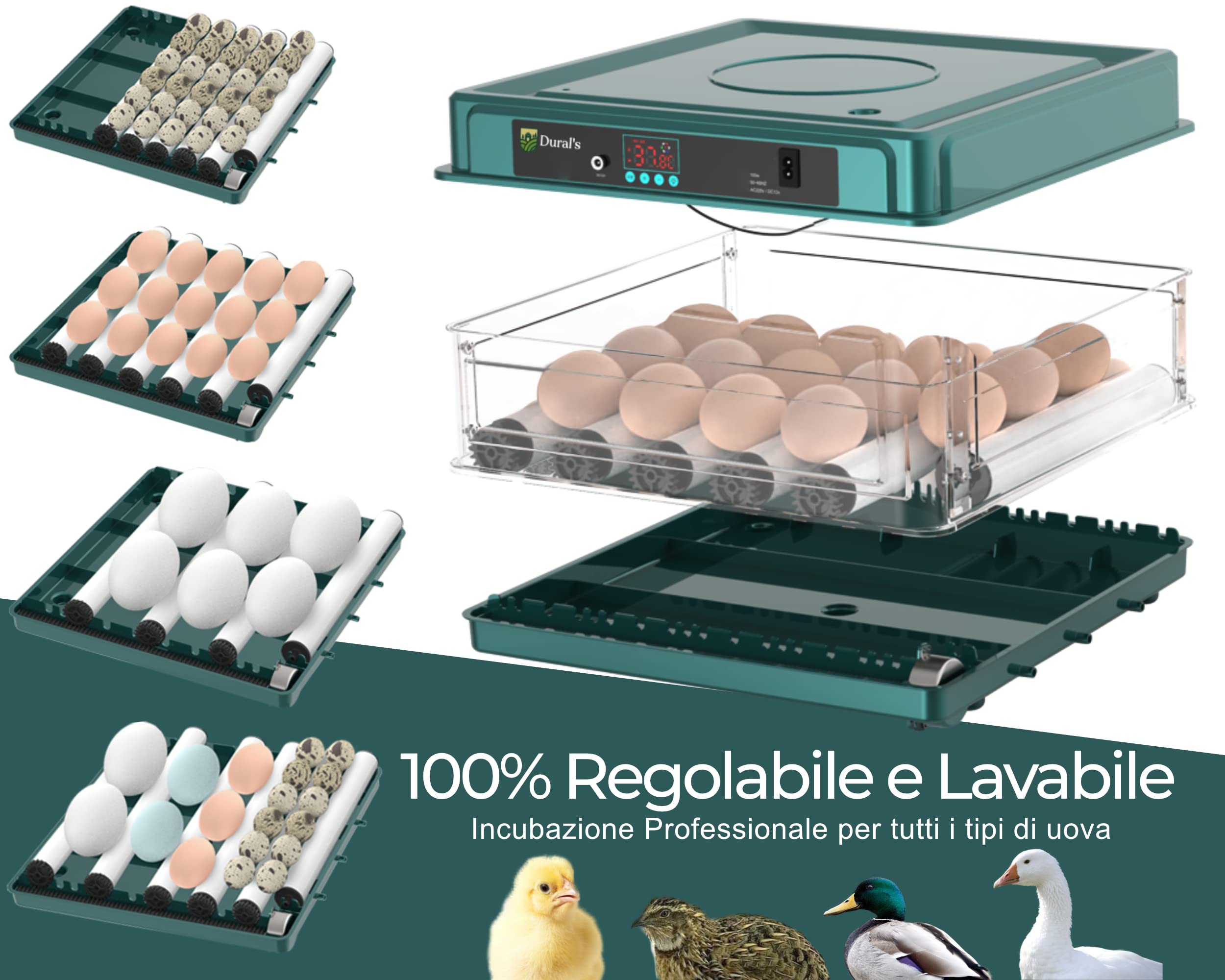 Dural's | Incubatrice per Uova | Certificata CE | Incubatrice per Uova Automatica con Controllo Preciso della Temperatura e Rotazione + EBOOK