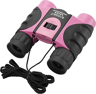 10x25 mm Waterproof Fogproof Compact Binoculars BK-7 Roof Prism, Pink