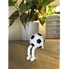 Product Photo 4