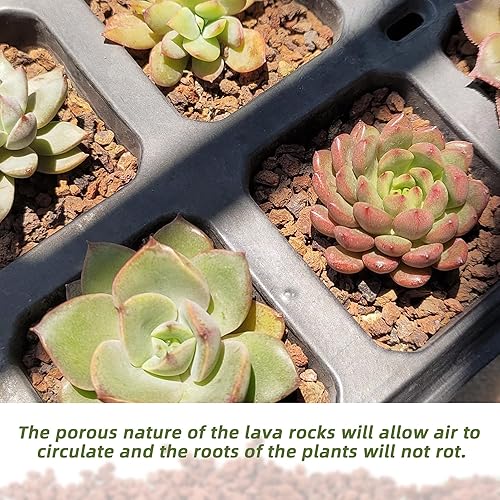 Miniatura 3 de Rocas de lava roja de 2.4 libras para plantas, roca volcánica hortícola de lava para paisajismo drenaje, grava de roca de lava pequeña para