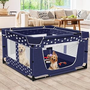 Pet Supplies