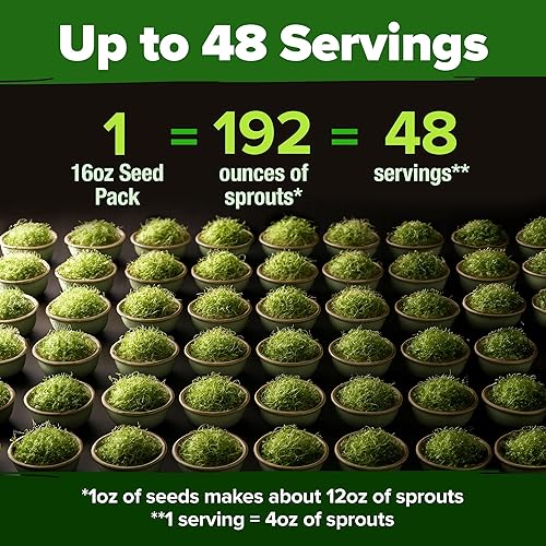 Miniatura 187 de HOME GROWN Paquete de 94 semillas de pimiento de plátano sin OMG, semillas de vegetales tradicionales de alta germinación para plantar en interiores