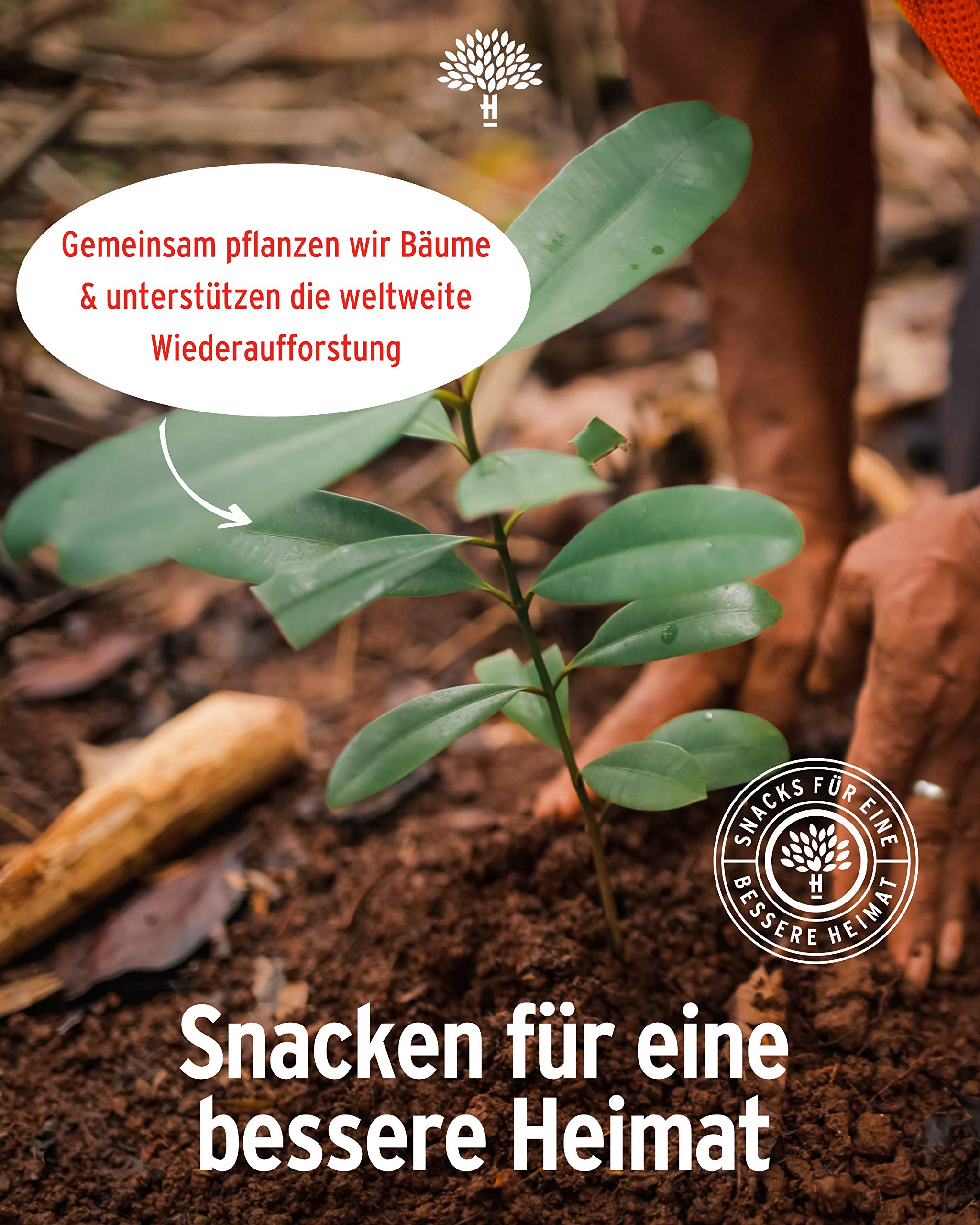 HEIMATGUT® Bio Vegan Popcorn Süß & Salzig | Aus bestem Butterflycorn Popcorn-Mais | Mit Bio Kokosöl & Ohne Butter und Palmöl | 10 Popcorn-Tüten à 90g | Glutenfrei & Ohne Künstliche Zusätze (10 x 90g)