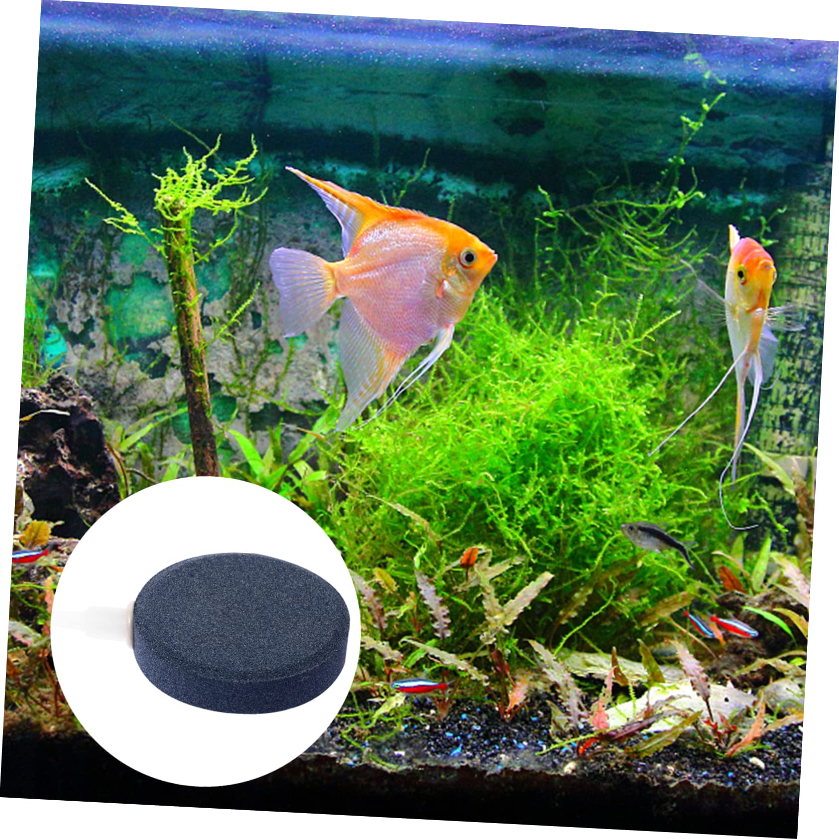 GANAZONO 4 Pcs Disc Air Stones Bubble Diffuser for Aquarium Oxygen Stone Fish Tank Air