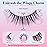 Bepholan False Eyelashes 5-13mm 7 Pairs Eyelashes Natural Look Wispy Lashes Strip Reusable Thin Clear Band & Soft Fake Lashes Easy to Apply (W08)
