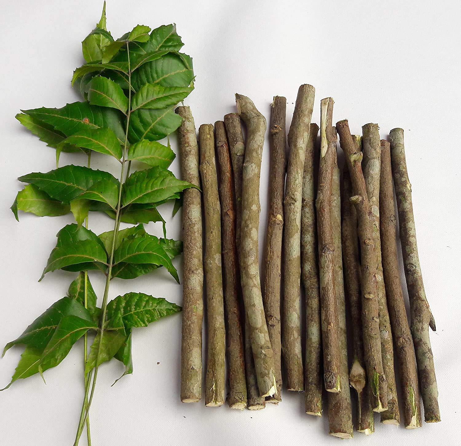 N A EX- Organic Adult Natural Neem Chew Sticks Datun Ayurvedic Toothbrush, 12cm Each Stick 20 Pieces (B08YRMTTRC) Amazon Price History, Amazon Price Tracker