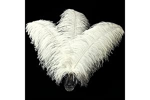 Beige 16-18 Inches Ostrich Feather Fan