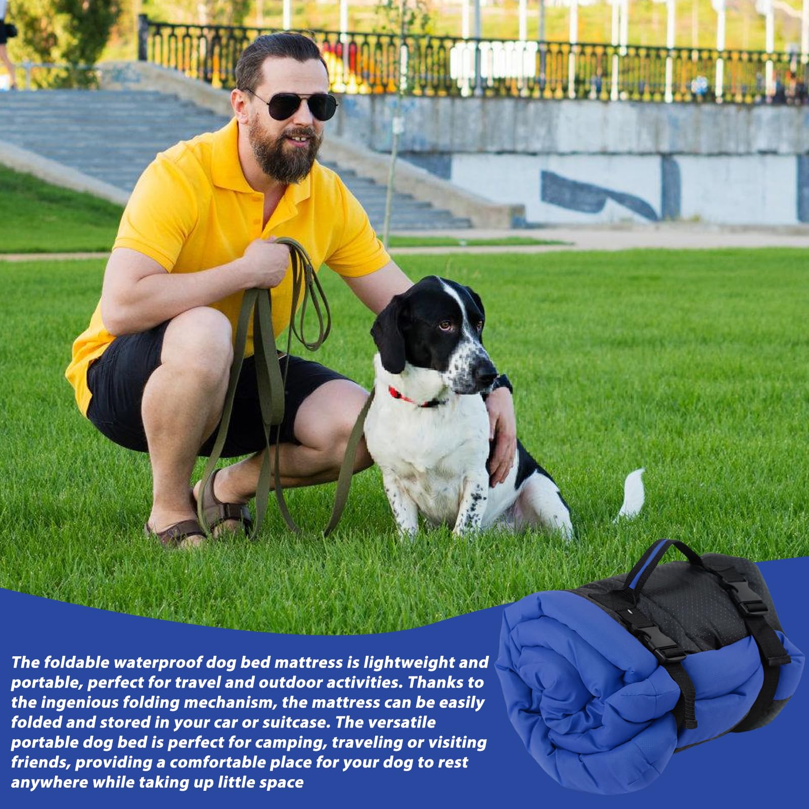 Matelas Portable pour Chien: 90 x 60 cm Lit pour Chien Imperméable et Pliable, Confort et Douceur Lit de Voyage pour Chien pour Voyages en Plein Air, Canapé, Sol, Voiture, Herbe (Bleu)