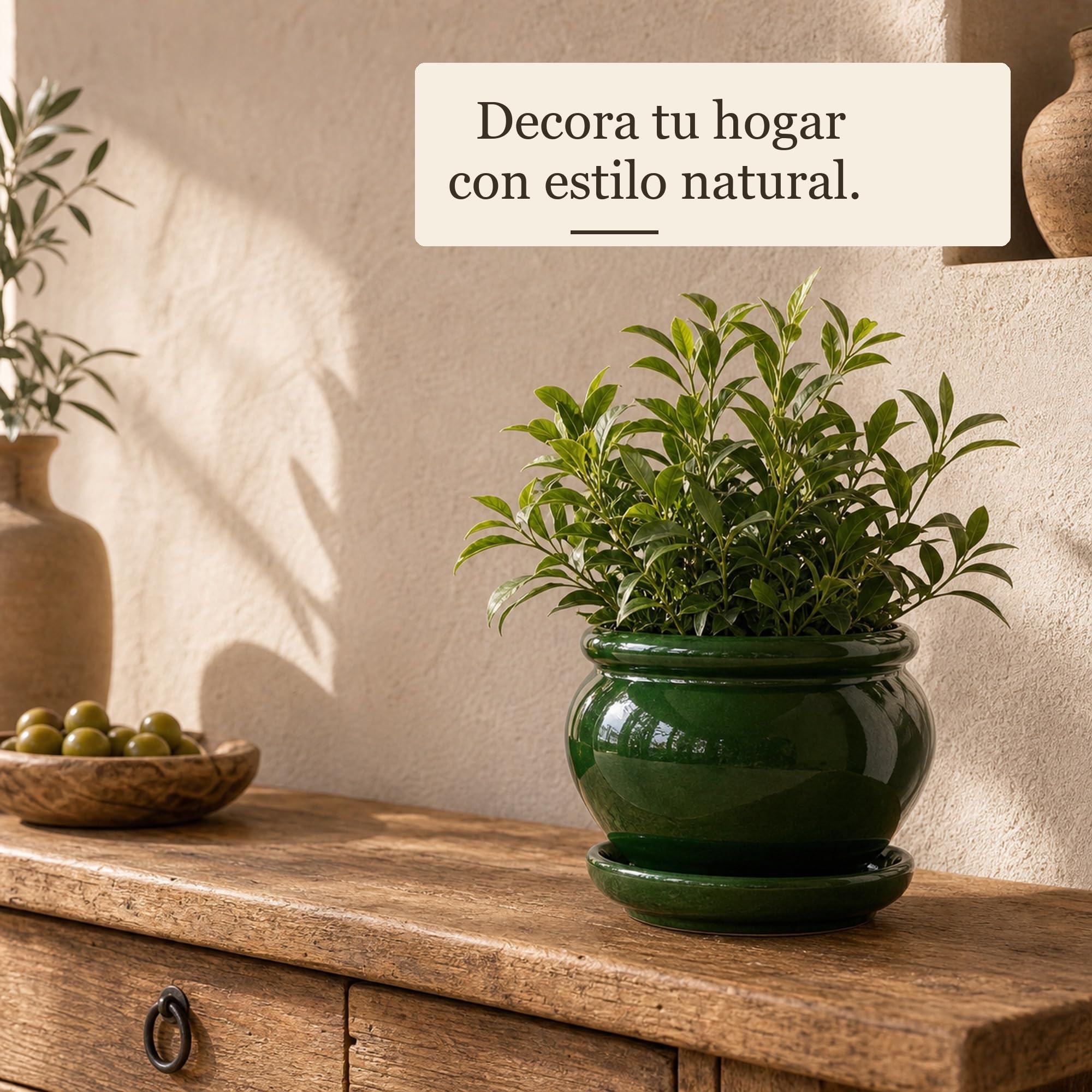 Maceta Coco cerámica Verde Botella 23 cm, macetero Decorativo para Plantas Interior Exterior terraza jardín