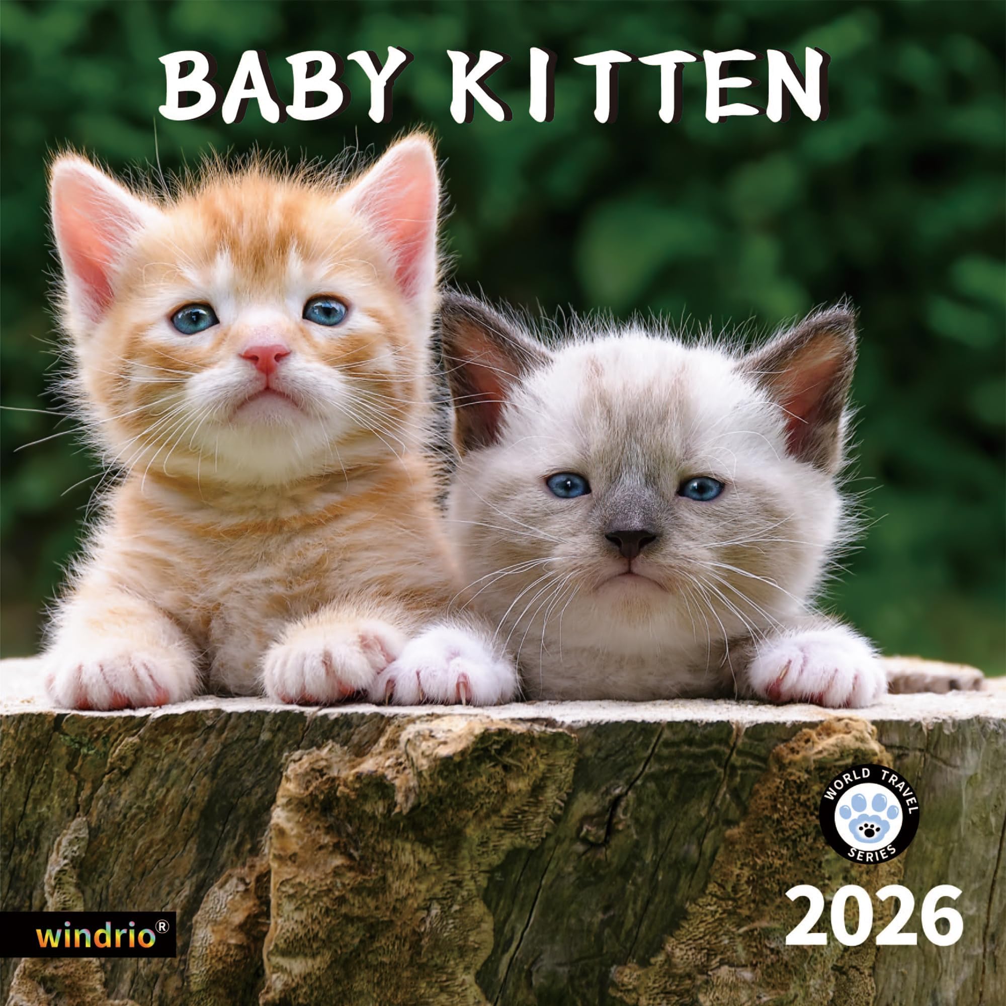 windrio 2025 Wall Calendar,Calendar 2025, July 2024 - December 2025, Wall Calendar Cat Kitten, 12" x 24" Opened,Full Page Months Thick & Sturdy Paper for Gift Kids Teen Calendar Organizing & Planning