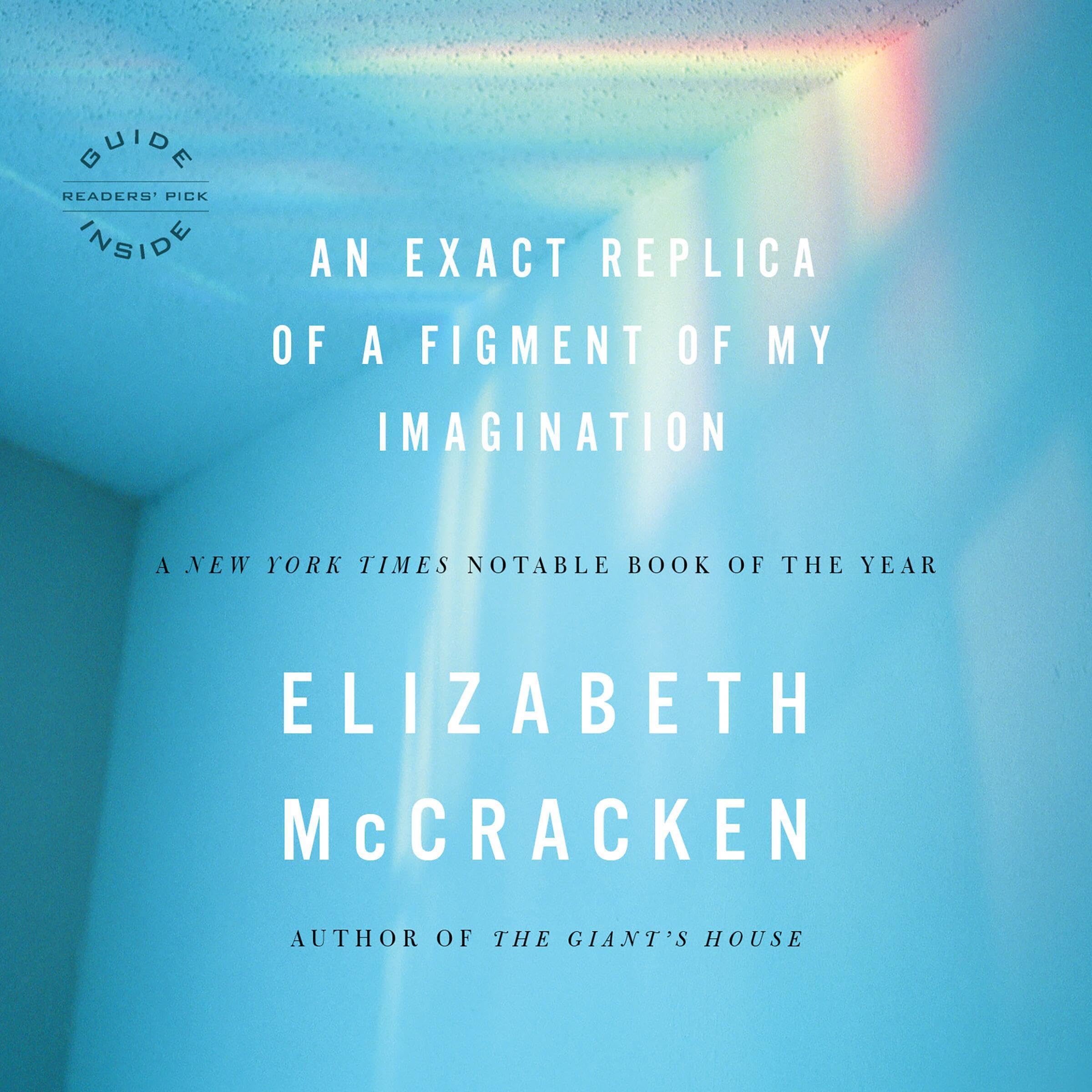Cover art for An Exact Replica of a Figment of My Imagination
