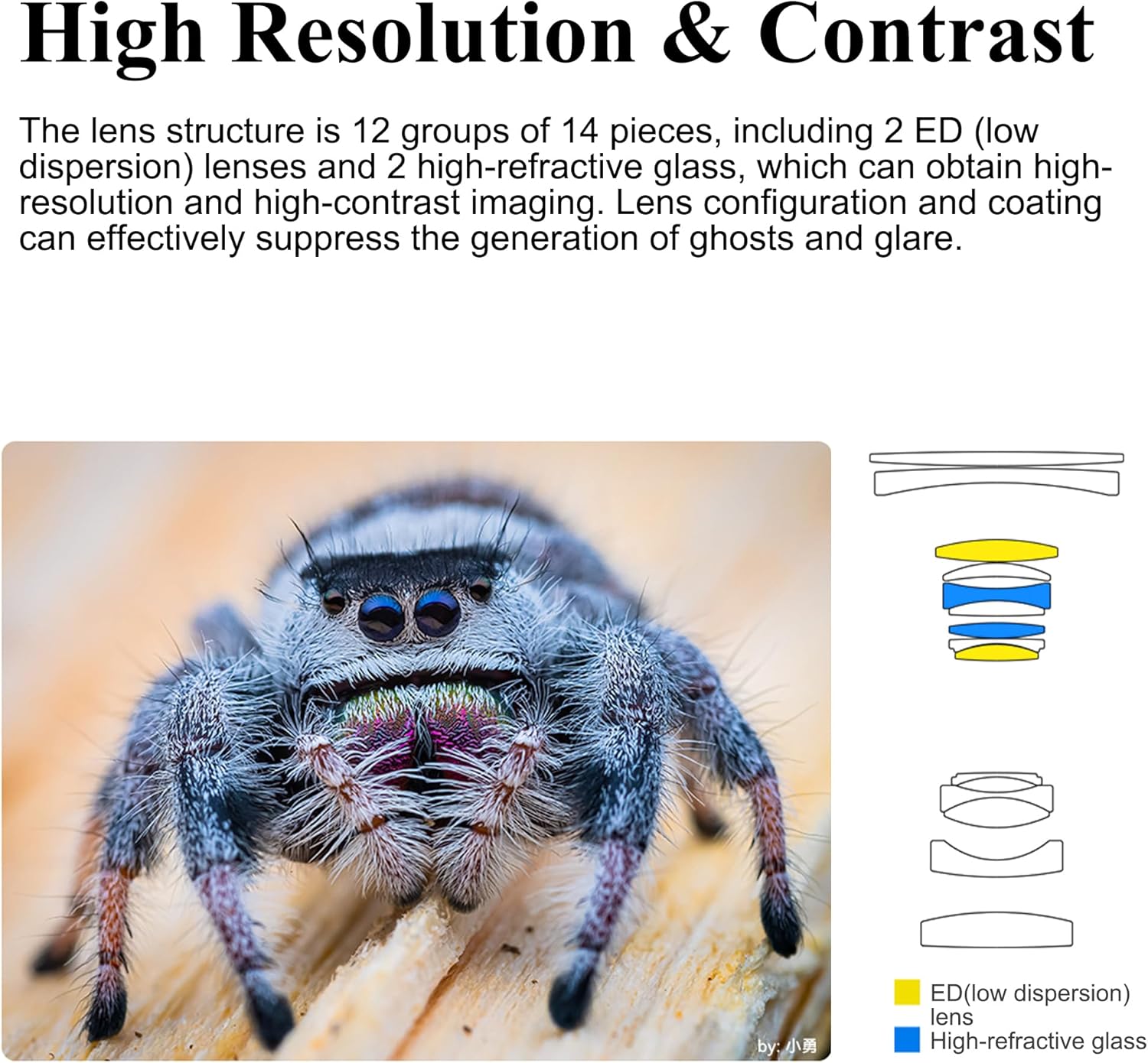 7artisans 60mm F2.8 Macro 2X Lens for Sony E Mount,2:1 Full Frame Prime Manual Focus Large Aperture Lens for Mirrorless Cameras for FX,A1,A9,A7M,A7R,A7S,A7C,ZVE,A6000,A5000,A3000,NEX