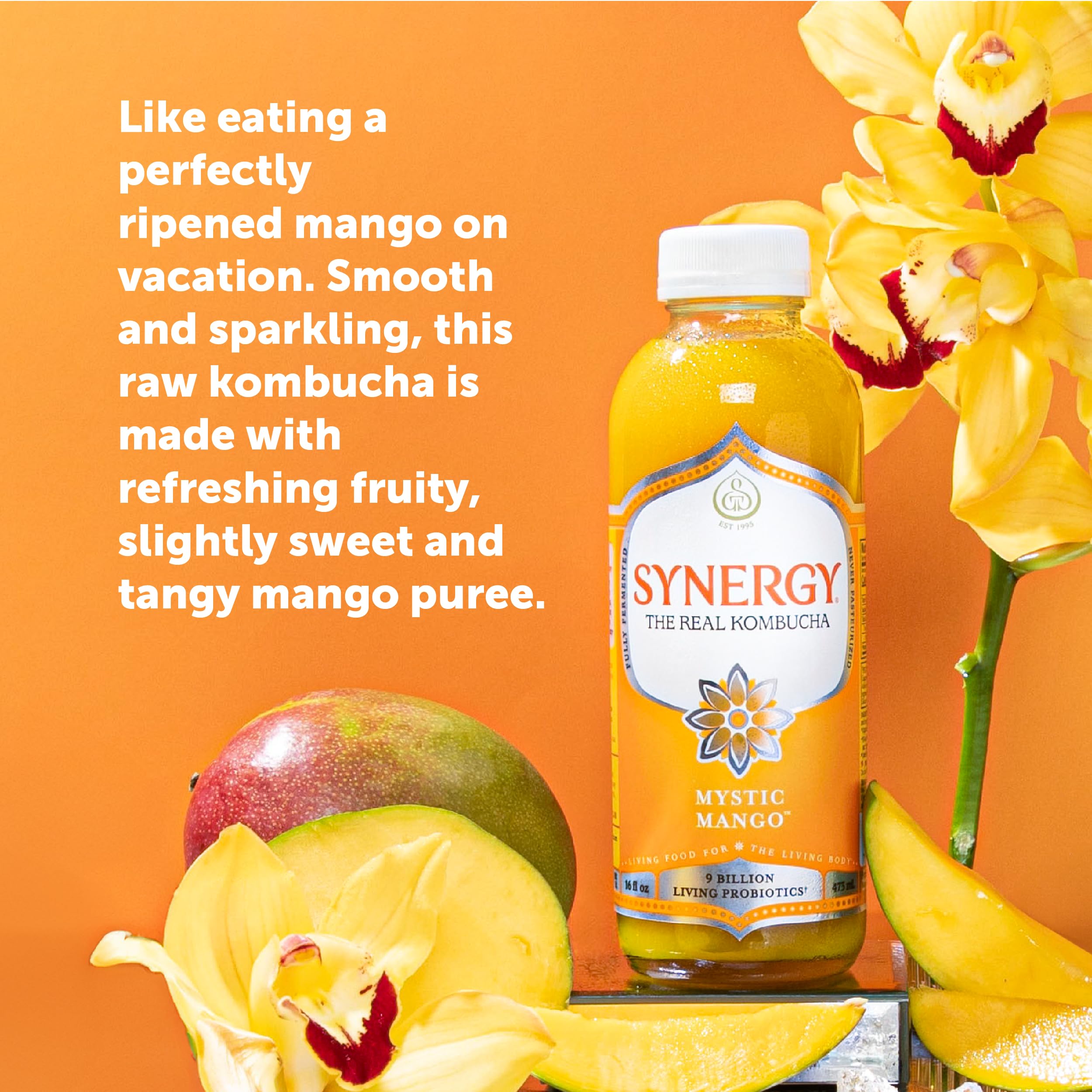 SYNERGY The Real Kombucha - Mystic Mango - 16 fl oz Bottle - Raw Probiotic Drink for Gut Health and Immune Support