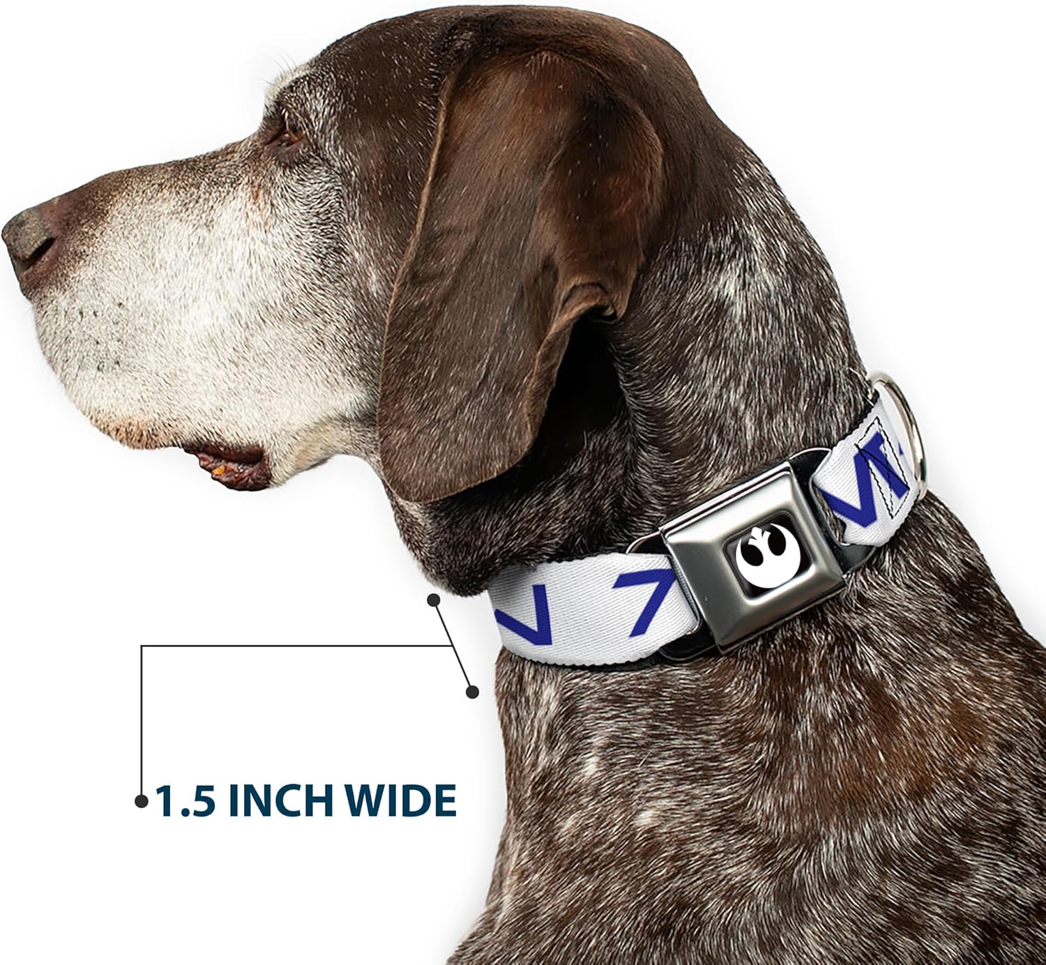 Star Wars Pet Collar, Dog Collar Metal Seatbelt Buckle, Star Wars Aurebesh Rebel White Blue, 16 to 23 Inches 1.5 Inch Wide