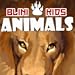 Blini Kids: Animals