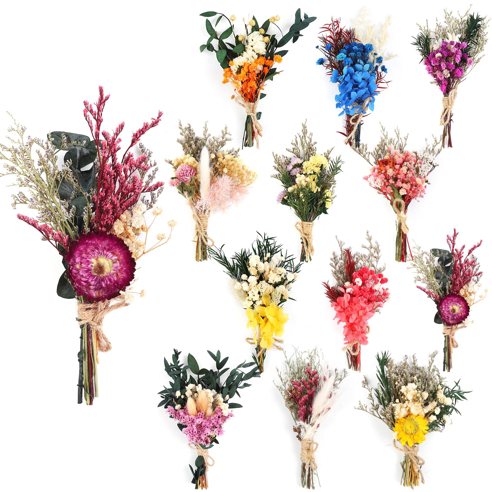 Teegxddy 10 PCS bouquet de fleurs sechees bouquet fleurs sechees naturelles fleurs sechees