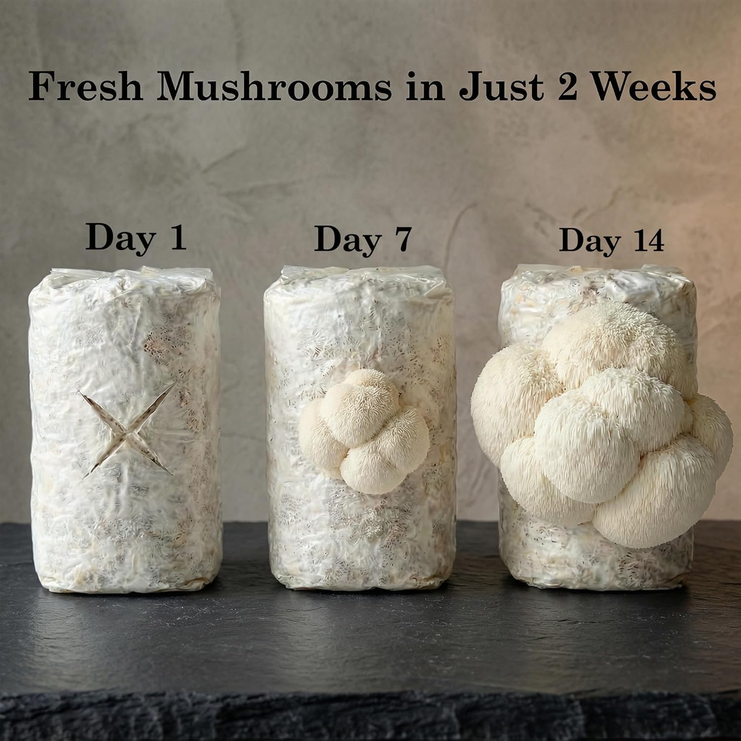 Organic Mushroom Growing Kit, Lion's Mane Mushroom Grow Kit with All Accessories, Grow Fresh Edible Mushrooms Indoor, USDA Certified Organic, Non-GMO, Easy to Grow at Home